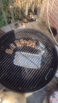 IMG_20240704_082742994.jpg