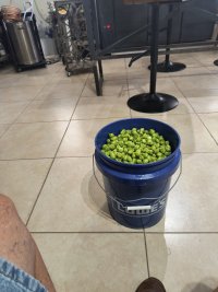 IMG_20240710_135426192.jpg