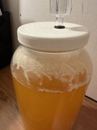 IMG_0416.jpeg