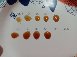 IMG_20240715_212540973.jpg