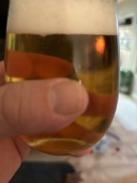 IMG_8846.jpeg
