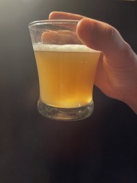 IMG_6438.jpeg