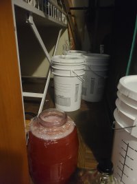 20240810_165731.jpg