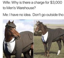 IMG_3789.jpeg