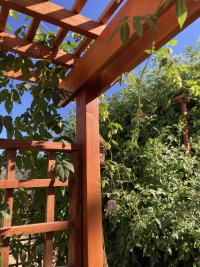 IMG_0332.jpeg