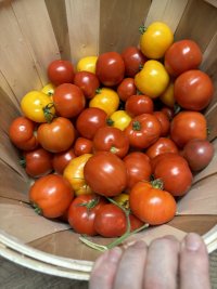 IMG_8920.jpeg