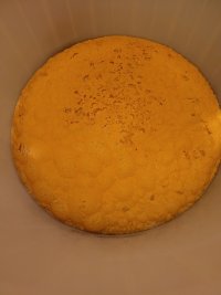 20241005_085201.jpg