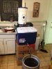 image-1384373464.jpg