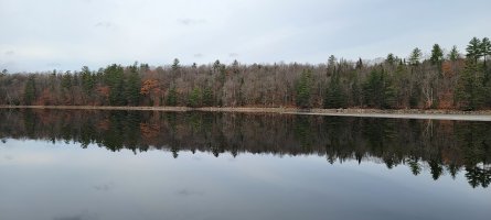 20241030_132929.jpg