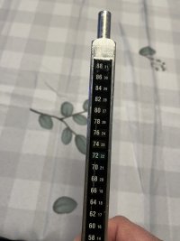 IMG_9255.jpeg