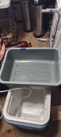 IMG_20241127_110034779.jpg