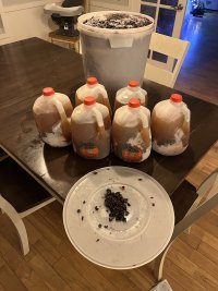 IMG_1217.jpeg