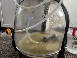 IMG_1686.jpg