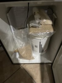 1 fermenter (1).jpg
