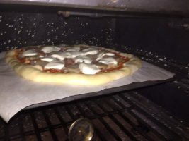 IMG_4400.jpeg