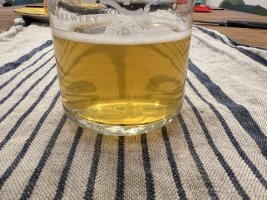 IMG_0020.jpeg