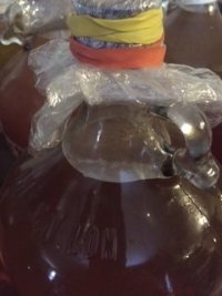 cider1.jpg