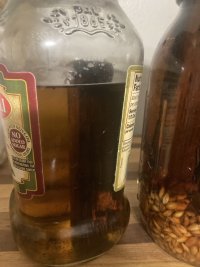 IMG_2605.jpeg