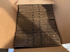 IMG_8966.jpeg