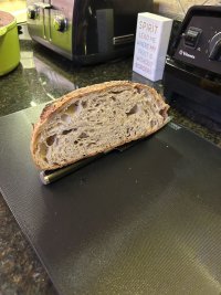 IMG_4724.jpeg