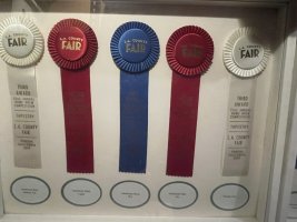 IMG_3877.jpeg