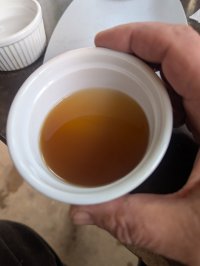 PXL_20250304_140340368.jpg