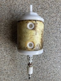 IMG_2378.jpeg