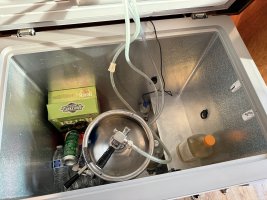 IMG_2024.jpeg