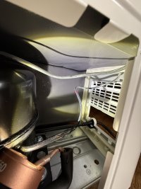 IMG_2075.jpeg