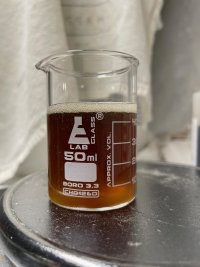 ESB2 - 11.jpeg