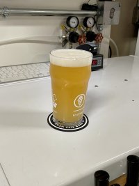IMG_4567.jpeg