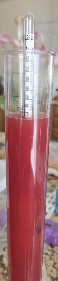 20250325_171956.jpg