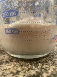 IMG_8189.jpeg