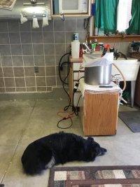 IMG_1019.jpeg