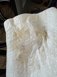 IMG_2556.jpeg