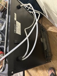 IMG_5901.jpeg