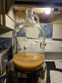20250216_080746.jpg
