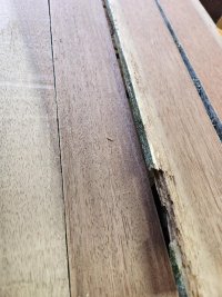 thumbnail (14).jpeg