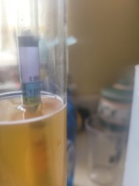 20250419_082933.jpg