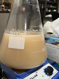 IMG_2832.jpeg