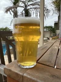 IMG_7341.jpeg