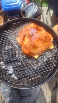 IMG_20250427_150803632.jpg