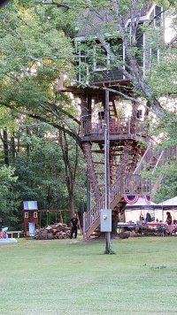 tree house july 4 2021.jpg