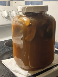 Next Cider.jpg