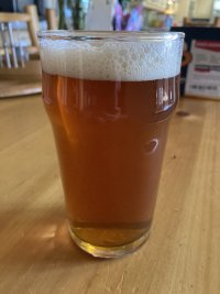IMG_8028.jpeg
