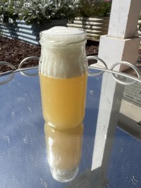IMG_0760.jpeg