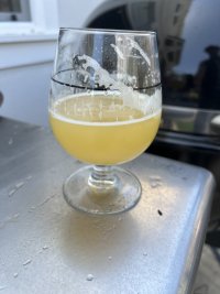 IMG_0785.jpeg