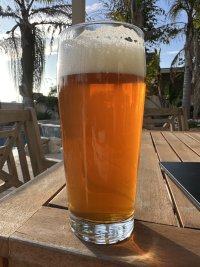 IMG_7758.jpeg
