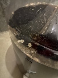 IMG_0156.jpeg