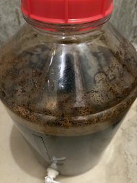 IMG_0173.jpeg